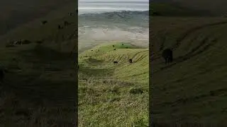 SCENIC  ROLLING HILLS Lagoon Valley Park in Vacaville California #park  #wildlife