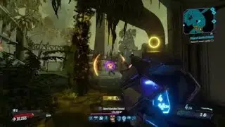 Amara OP
