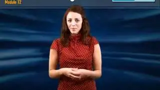 Complete Guide to Traffic Training Course - Module 12: Photos and Images