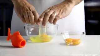 Yolkfish by PELEG DESIGN 2