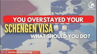 🔴You overstayed your Schengen visa, what should you do?✈