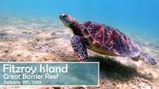 Snorkeling at Fitzroy Island - Great Barrier Reef in Cairns, Australia