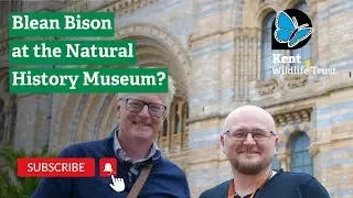 Blean Bison Affecting the Soil? | Full Interview with Piotr Cuber