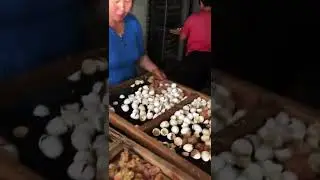 Incubator for your chicken and duck 2022 #  84