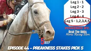 How Deep Did We Go In The Preakness? Pick 5 Ticket For Pimlico