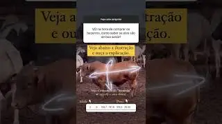 Como Avaliar se os Bezerros s&atilde;o de Boa Sa&iacute;da na Hora da Compra?#pecuaria #animal #boi #bezerro #agro