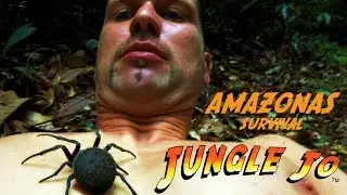 Eine Reise durch den Regenwald | Jungle Jo