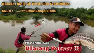 Tips & Trik Casting Ikan Toman Spot Banjir Air Keruh | Youtuber Pemula Wajib Coba Dijamin Gak Boncos