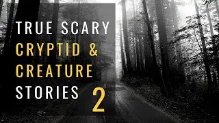 True Scary Stories - Cryptid by the side of the road
