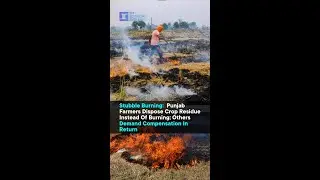 Stubble Burning: Punjab Farmers Dispose Crop Residue Instead Of Burning; Others Demand Compensation