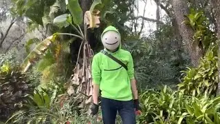 Dream Face Reveal Scene | Mrbeast Rewind 2020