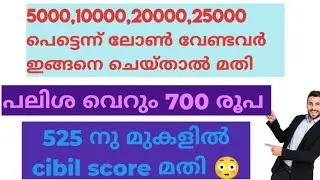 Most Successfully Sanctioned Personal Loan Without Income And Low Cibil / In Malayalam