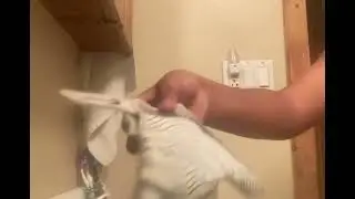 cleaning my lil brothers football gloves