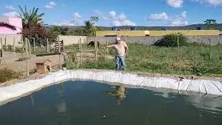 Passo a passo como fazer um tanque de til&aacute;pia. #tilapia #agro #peixes #vidanaro&ccedil;a #vidanocampo