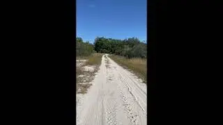 Land For Sale 2790 W. Celebrity Ct. Avon Park, Florida 33825