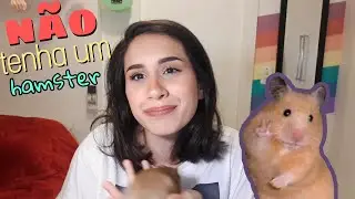 Why hamsters make TERRIBLE pets | HAMSTERS #1