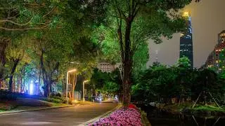 Morning Walk under Trees of Huacheng Square | Guangzhou, China 4K Dawn City Sounds