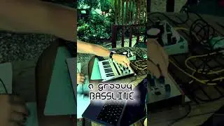 Groovy #bassline is in da #house #electronicmusic #synth #korg #powerful #energetic #shorts