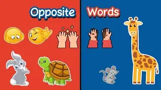 Learn OPPOSITES with My Friends! 🌈 | Fast & Slow, Hot & Cold for Toddlers