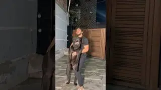 Chilled hot dog 😂 #albadi #comedy #albadivlogs #comedyfilms #funny #fun