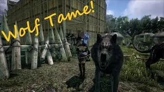 Dark And Light 4k EP10 Elk Shapeshift & Wolf Tame!