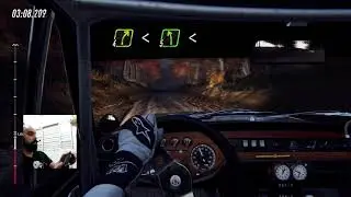 Dirt rally 2.0 on Steam Controller (Gyroscope)