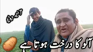 Aalo ka darkhat kesa hota ha 🤣😂 | My New Funny Vlog | New Rao Star 