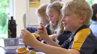 The Mead School Video