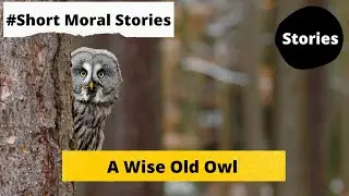 A Wise Old Owl | a wise old owl story in english | inspirational short stories
