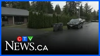 Surrey home hit by gunfire