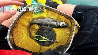 Pêche de bars en kayak. Réalisation d'un leurre souple peu onéreux puis sortie en mer, efficace !!.