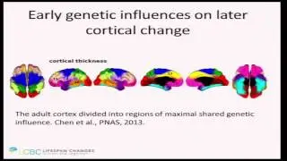 Cognitive Aging Summit III | Dr. Kristine Walhovd | Neurodevelopmental Origins of Lifespan Changes..