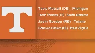 Vols get 4 new players from transfer portal