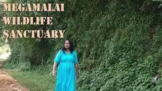Megamalai Wildlife Sanctuary | High Wavy Mountains |  Theni Tourist | எழில் கொஞ்சும் மேகமலை சரணாலயம்
