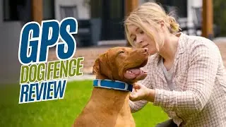 Keep Your Dog Safe Anywhere with the PetSafe GPS Dog Fence!