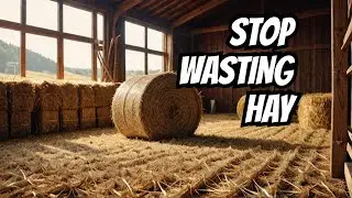 Horse Owners, Listen Up! 🐴 This Slow Feed Hay Net Hack Saves You Big $$!