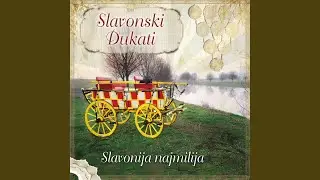 Šokac