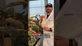 Il segreto per piante sane tutto l&rsquo;anno? Ottomix oil 💧
