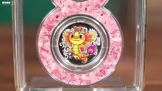 Gold Coin short video shooting product video case sharing e-commerce product display video
