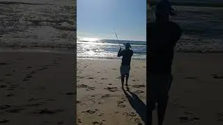 #fishing #cob #namibia #saltwaterfishing #shortvideos #beachvibes #rockandsurf  #hooked