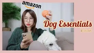 8 Dog Essentials for Puppies and Dog Parents From Amazon | 2021 Must Haves!