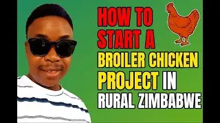 #07 How to start a Broiler Chicken Project  in Rural Zimbabwe - Step-by-step from housing to feeding