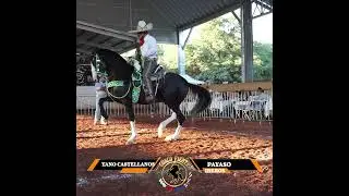 2DA ETAPA DEL CIRCUITO MEXICANO DEL CABALLO BAILADOR CATEGORIA IBEROS TANO CASTELLANOS Y EL PAYASO