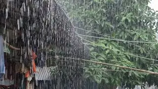 Real Rain Sounds for Sleep After a Long Day ,deep sleep 