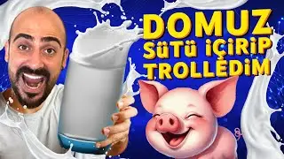 DOMUZ S&Uuml;T&Uuml; İ&Ccedil;İREREK TROLLEDİM 🐷
