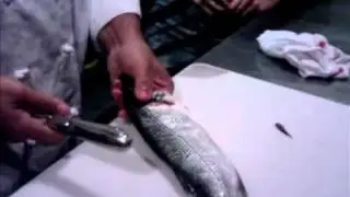 THALASSA - How to clean and grill a fish