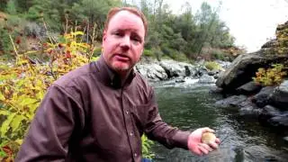 Bruin Ranch Acquisition Presentation 2010