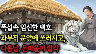 폭설속 임신한 백호 뚱보과부집 문앞에 쓰러지고, 그후 마을이 발칵 뒤집어지는데.. |야담,옛날이야기,민담,설화,조선야담,오디오북