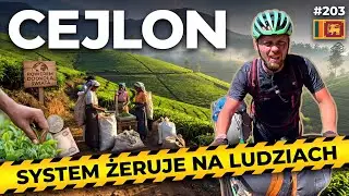 SRI LANKA: TEA PLANTATIONS + A SYSTEM THAT PREYS ON PEOPLE