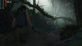 Shadow of the Tomb Raider Benchmark 1080ti with 399.24 drivers 1440p